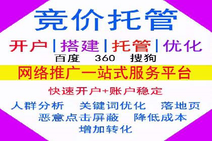 专业SEM托管服务，案例展示精准营销成果